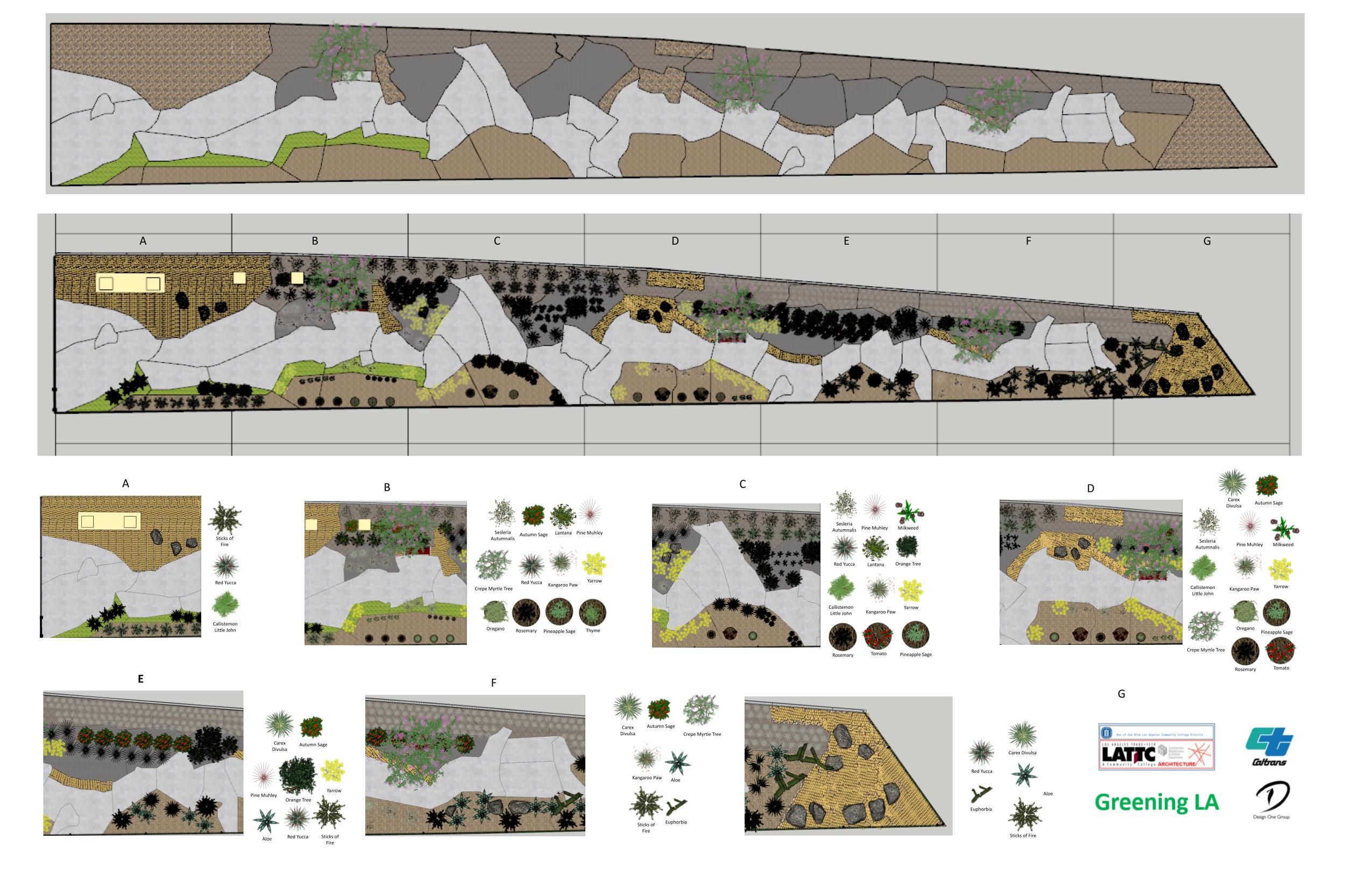 The Greening LA pathway takes inspiration from nature’s geometric patterns.
