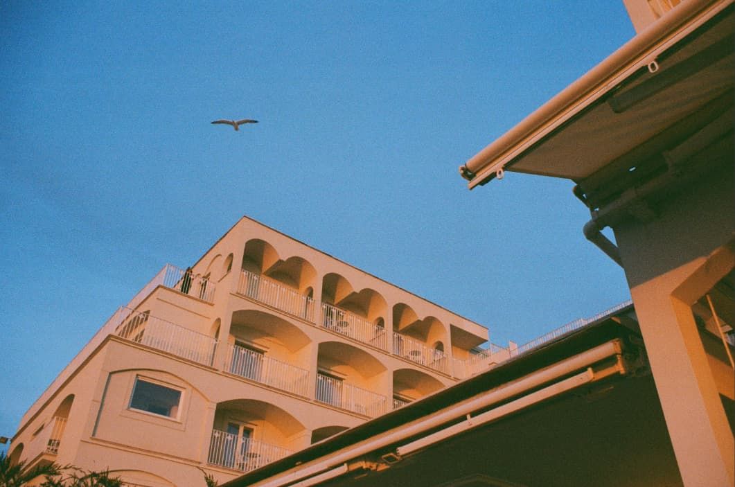 A big building with a bird flying above with a blue sky in the background.
