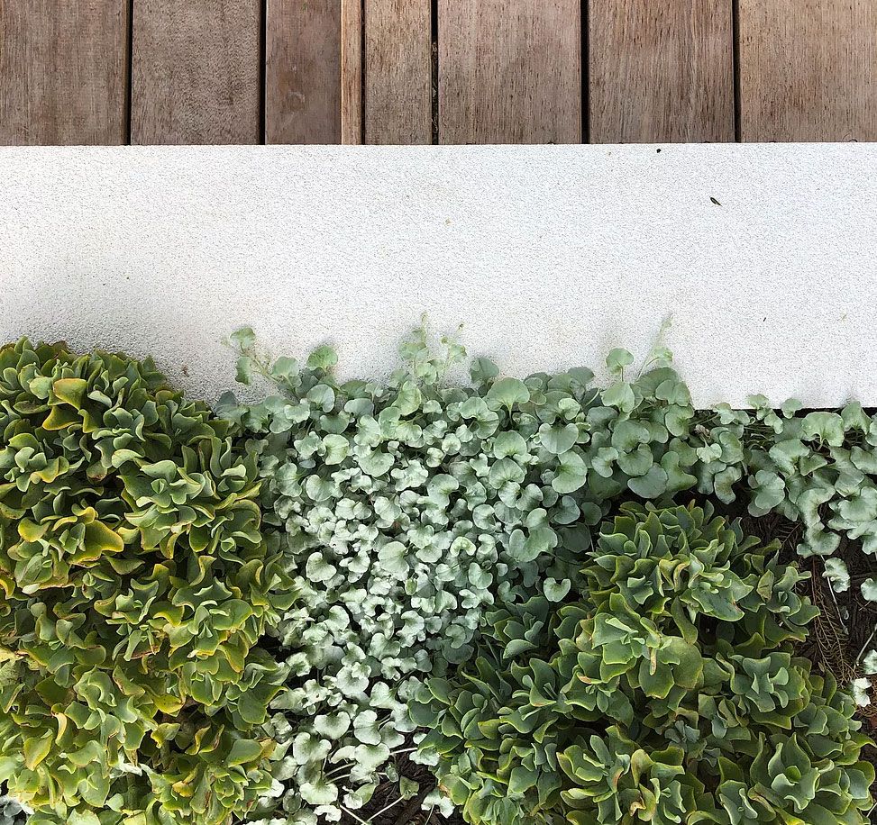 Inspiration from natural elements