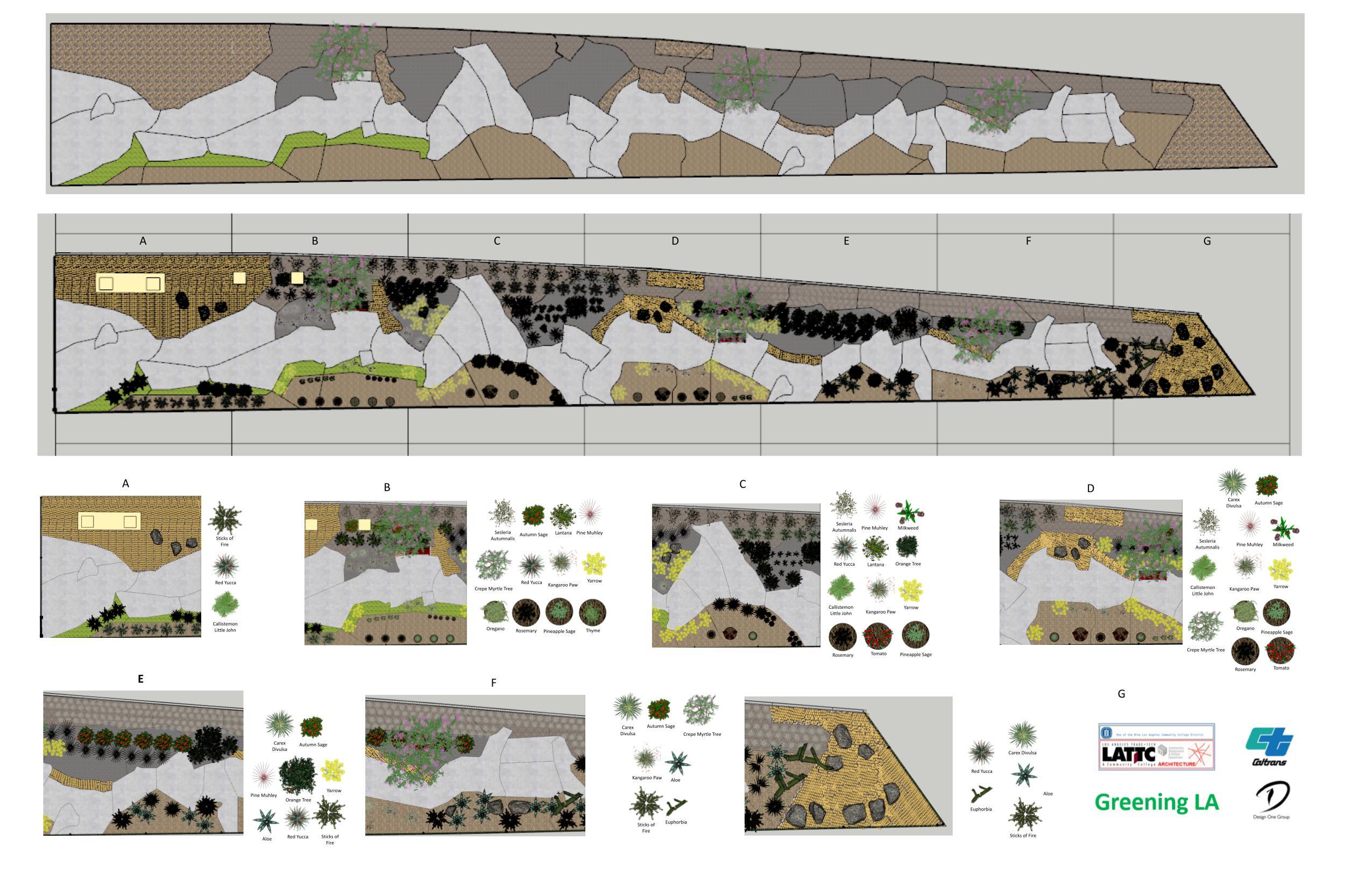 The Greening LA pathway takes inspiration from nature’s geometric patterns.
