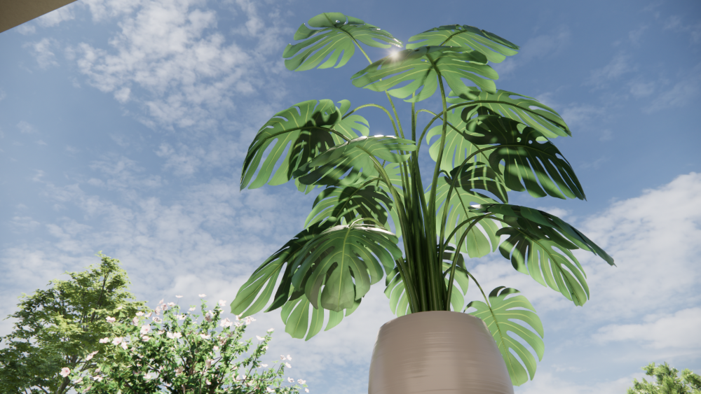 rendering of foliage in Enscape