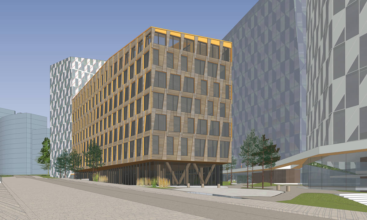 SketchUp model of the Valle Wood project