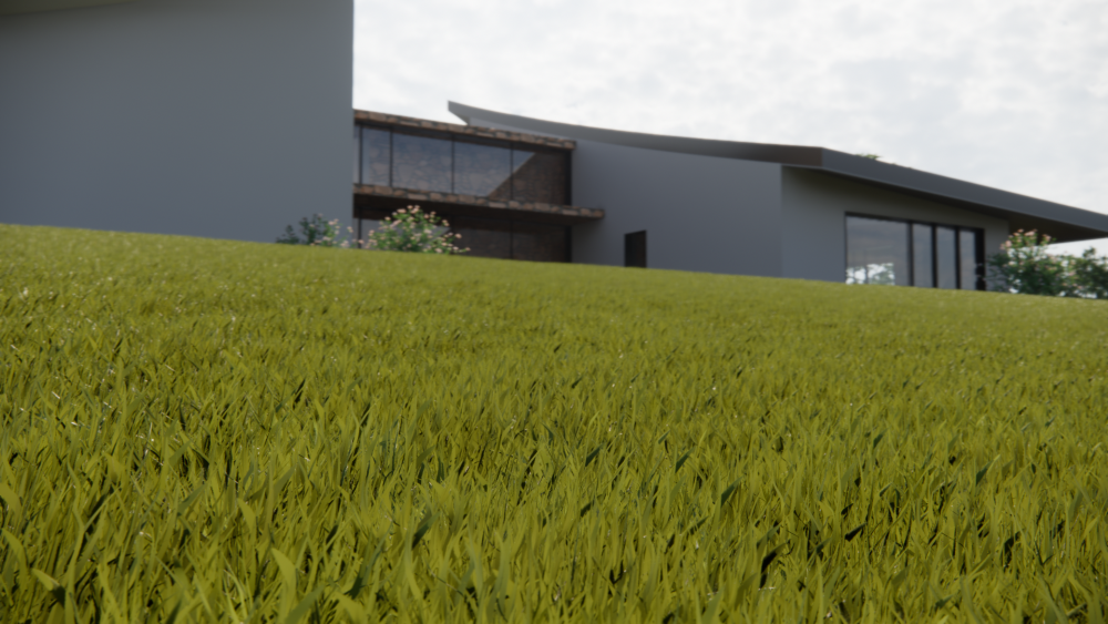 Rendering of grass in Enscape