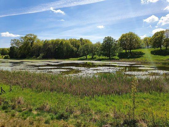 Kungsmarken nature reserve