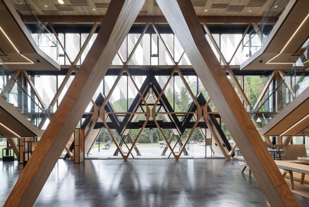 Repeated timber elements are the key to the building's structure